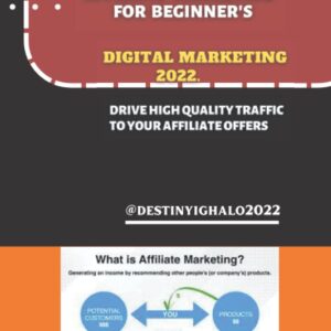 Affiliate Marketing For Dummies 2022: Passive Income Ideas 2022-2023 The Beginner's Guide on How to Make Money Online: Blogging,