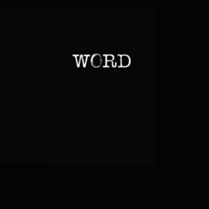 WORD Discreet Password Book for Affiliate Marketers