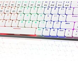 RisoPhy RGB Wireless Keyboard,60% Mechanical Gaming Keyboard with Metal Base,2.4G/Type-C/Bluetooth Keyboard with Low Profile Clicky Blue Switches,Programmable 60 Percent Keyboard for Ipad,PC,Mac,Xbox