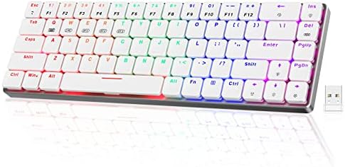 RisoPhy RGB Wireless Keyboard,60% Mechanical Gaming Keyboard with Metal Base,2.4G/Type-C/Bluetooth Keyboard with Low Profile Clicky Blue Switches,Programmable 60 Percent Keyboard for Ipad,PC,Mac,Xbox