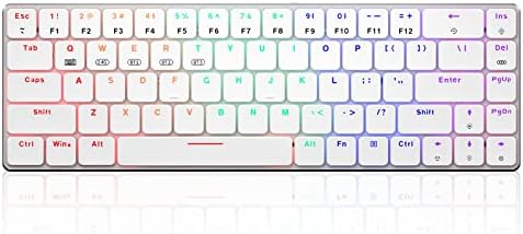 RisoPhy RGB Wireless Keyboard,60% Mechanical Gaming Keyboard with Metal Base,2.4G/Type-C/Bluetooth Keyboard with Low Profile Clicky Blue Switches,Programmable 60 Percent Keyboard for Ipad,PC,Mac,Xbox - Image 8