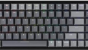Keychron K4 Bluetooth Wireless Mechanical Keyboard RGB LED Backlit, Hot-swappable Compact 100 Keys USB Wired Computer Gaming Keyboard Aluminum Frame for Mac Windows, Gateron Blue Switch