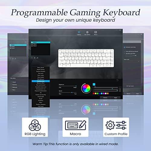RisoPhy RGB Wireless Keyboard,60% Mechanical Gaming Keyboard with Metal Base,2.4G/Type-C/Bluetooth Keyboard with Low Profile Clicky Blue Switches,Programmable 60 Percent Keyboard for Ipad,PC,Mac,Xbox - Image 5