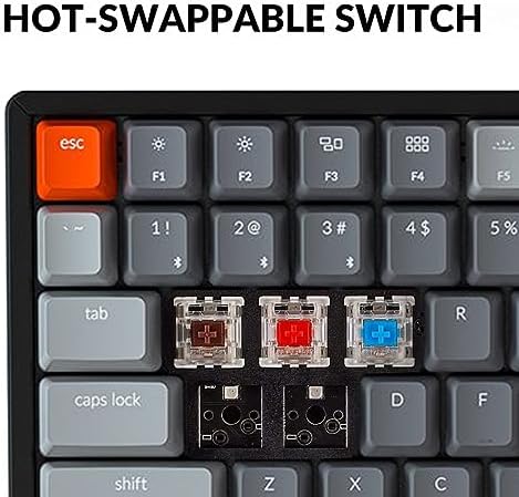 Keychron K4 Bluetooth Wireless Mechanical Keyboard RGB LED Backlit, Hot-swappable Compact 100 Keys USB Wired Computer Gaming Keyboard Aluminum Frame for Mac Windows, Gateron Blue Switch - Image 5