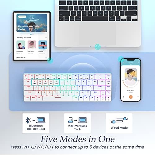 RisoPhy RGB Wireless Keyboard,60% Mechanical Gaming Keyboard with Metal Base,2.4G/Type-C/Bluetooth Keyboard with Low Profile Clicky Blue Switches,Programmable 60 Percent Keyboard for Ipad,PC,Mac,Xbox - Image 3