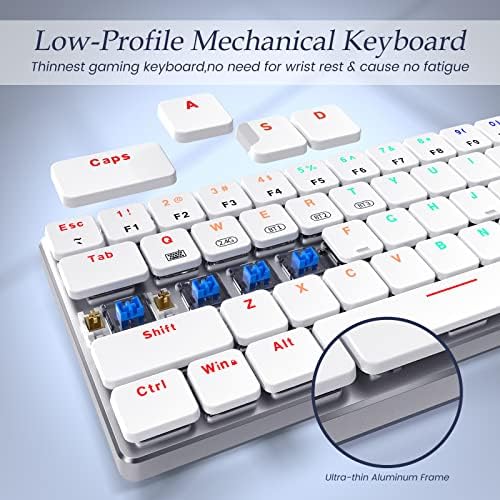 RisoPhy RGB Wireless Keyboard,60% Mechanical Gaming Keyboard with Metal Base,2.4G/Type-C/Bluetooth Keyboard with Low Profile Clicky Blue Switches,Programmable 60 Percent Keyboard for Ipad,PC,Mac,Xbox - Image 2