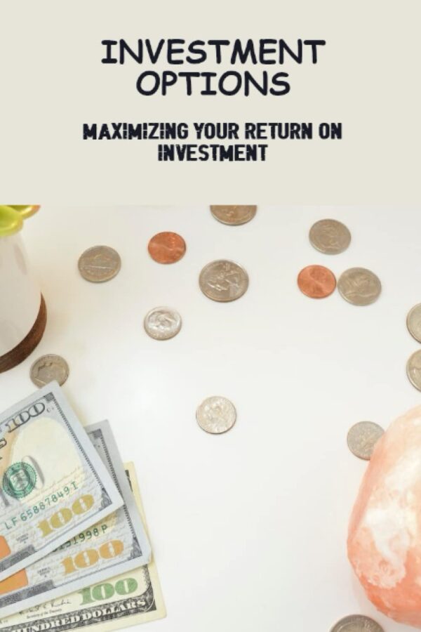Investment Options: Maximizing Your Return On Investment