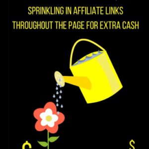WHEN YOU HAVE A MEME BLOG, BUT SPRINKLING IN AFFILIATE LINKS THROUGHOUT THE PAGE FOR EXTRA CASH !: A Novelty Funny Affiliate Marketer - Small Gift Notebook (6" x 9")