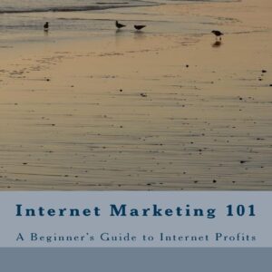 Internet Marketing 101: A Beginner's Guide to Internet Profits