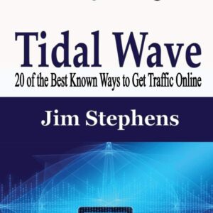 Traffic Tidal Wave: 20 of the Best Known Ways to Get Traffic Online