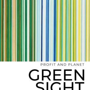 Greensight: The Sustainability Guide for Company Directors