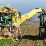 affiliate-friendly autoresponders